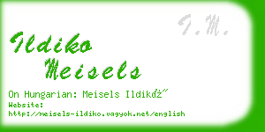 ildiko meisels business card